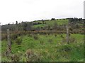 Edenmore Townland