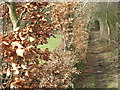 Bridleway at Annetts Farm