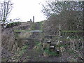 Footpath to Nesbitt Dene