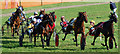 Harness racing at Haugh Field, Stirling