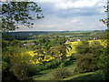 View From Winter Hill