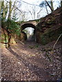 Bridge over a sandstone gorge