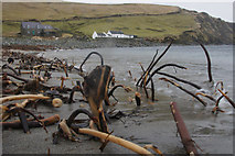 HP6514 : Kelp on Norwick beach by Mike Pennington