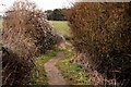 SP4804 : Bridleway to Harcourt Hill by Steve Daniels