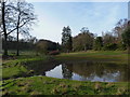 A rather dry pool on the drive to Stanley Hall