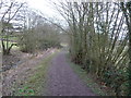 Towpath beside the disused section of canal near Pant