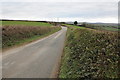 Country road near St Tudy