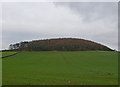 Farmland at Myrecairnie