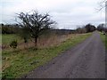 On the Trans Pennine Trail