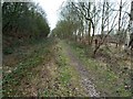 The Trans Pennine Trail and the Cuckoo Way