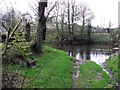 Owenreagh River, Edergoole