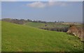 SS9816 : Mid Devon : Grassy Field by Lewis Clarke