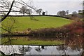 Mid Devon : Small Pond