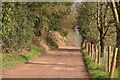 Mid Devon : Road to Chevithorne Barton