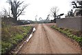 Mid Devon : Country Road