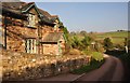 Mid Devon : Rose Cottage & Country Road