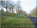 SP3080 : Crocuses, Allesley Hall Drive by E Gammie