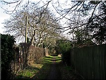 TL4155 : Path to Grantchester by John Sutton