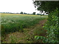 Countryside near Bishops Tachbrook