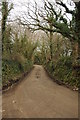 A country road at Knighsmill