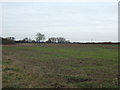 Farmland near Balderton