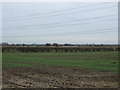 Farmland, Balderfield