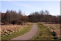 Footpath in Shaw Forest Park