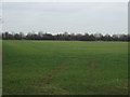 Farmland near Moor Farm