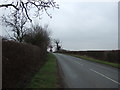 Minor road heading south towards Hougham