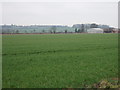 Farmland south of Brandon