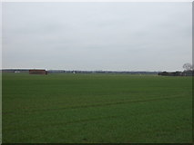 SK9050 : Farmland off Stragglethorpe Lane by JThomas
