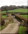 Bridge over the Otter