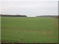 Farmland near Sleaford