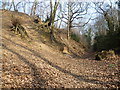 Wood Lane through Darenth Wood