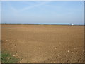 Farmland, Welbourn Heath