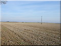 Farmland, Wellingore Heath