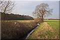 Dog Clog Brook from Water Lane bridge