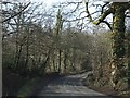 Woods near Waterloo Farm