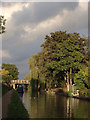 Evening sunlight over the Middlewich Branch Canal