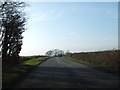 Road south of South Hayne Plantation