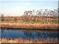 Fossdyke Navigation