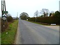 Looking south on Sidlesham Lane from footpath junction