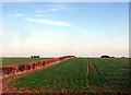 Farmland, Castle Farm