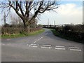 Dog Lane near Coddington