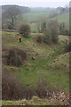 Old Lime Quarry at Bishopswood Meadows