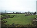 Pasture land west of the Old Belfast Road