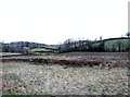 Rough pasture north of the Brae Road