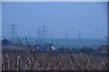 West Somerset : Pylons & Fields