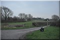 West Somerset : Driveway to Doggetts