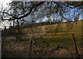 View NW from Chipstead Lane